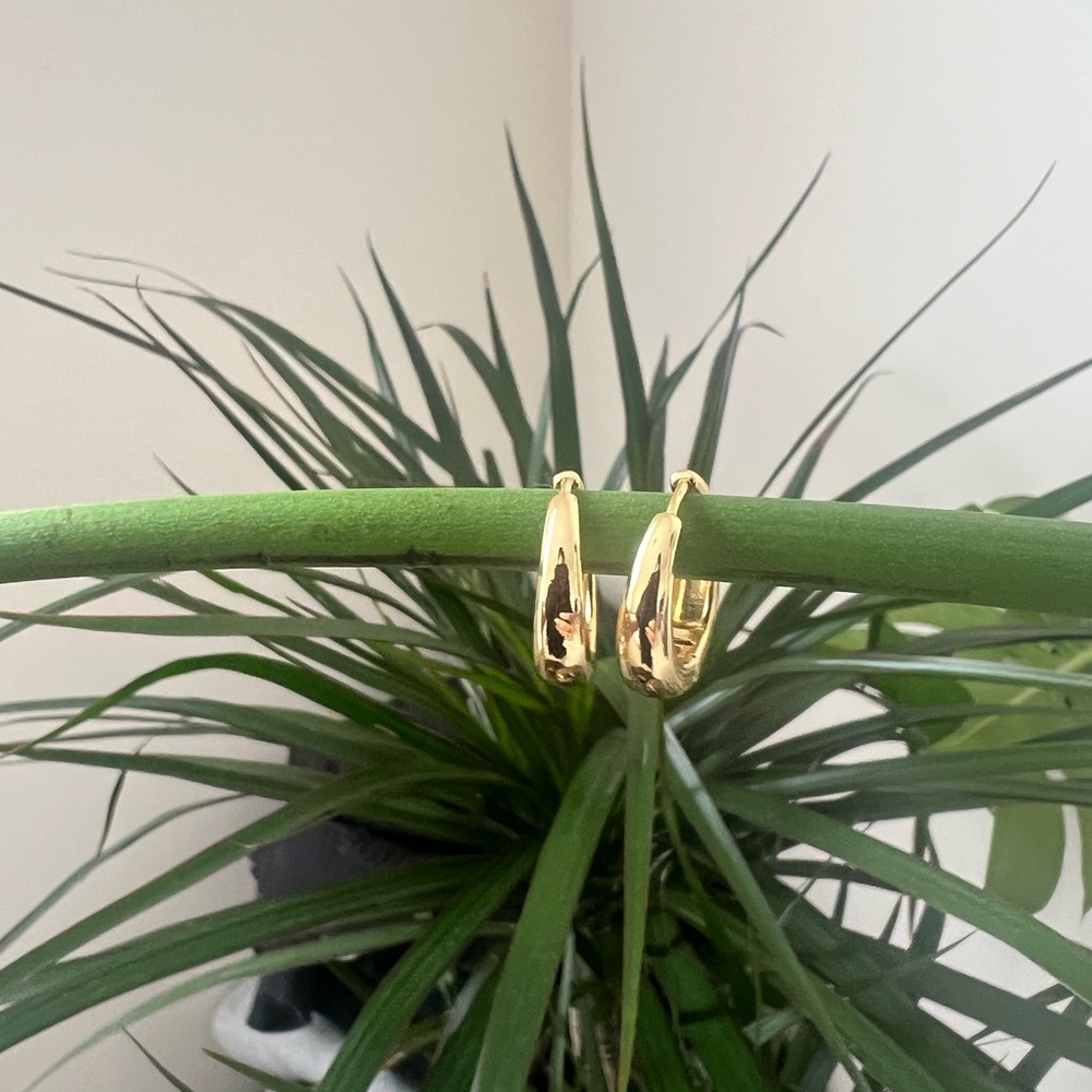 Gold Hoop Earrings 1 inch